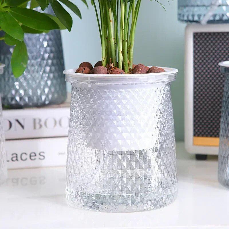 Aloe Vera Pot - 2024 Transparent Self Watering Flower Pot