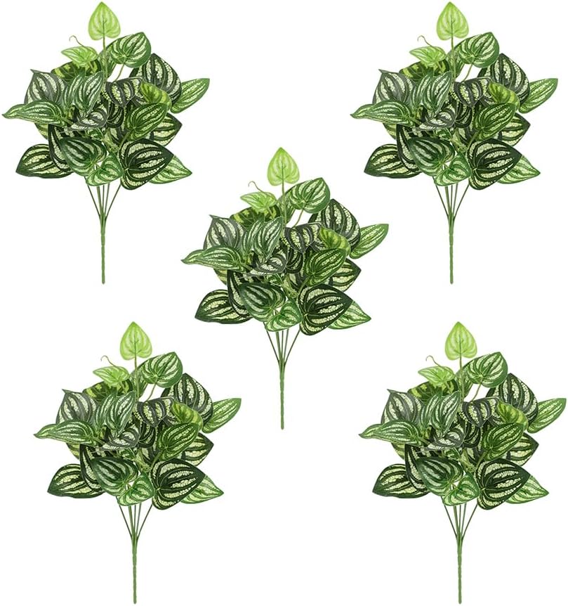 Peperomia Watermelon - 5Pcs Watermelon Peperomia Artificial Plant 12.9