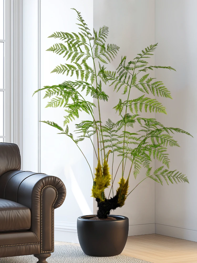 Dracaena Marginata - Large Simulated Golden Monkey Fern Green