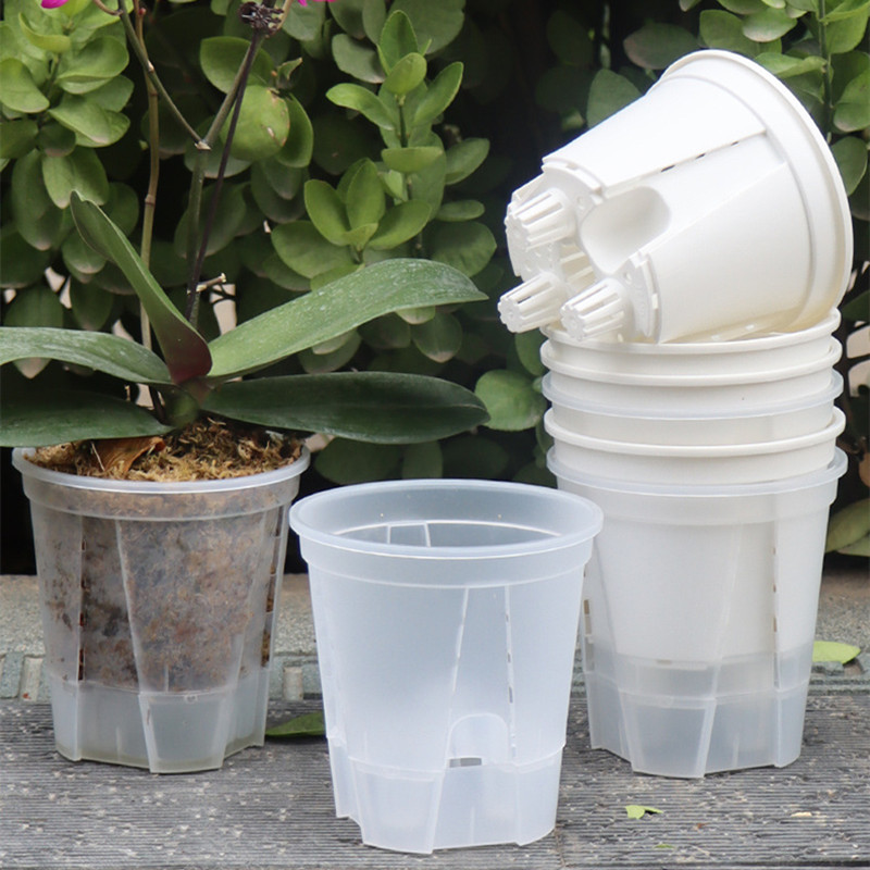 Aloe Vera Pot - 5pcs Transparent Orchid Pot with Holes