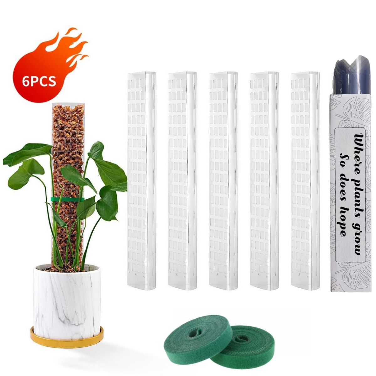 Moss Poles Plants Plant Suppor - Echeveria Succulent recension och pris