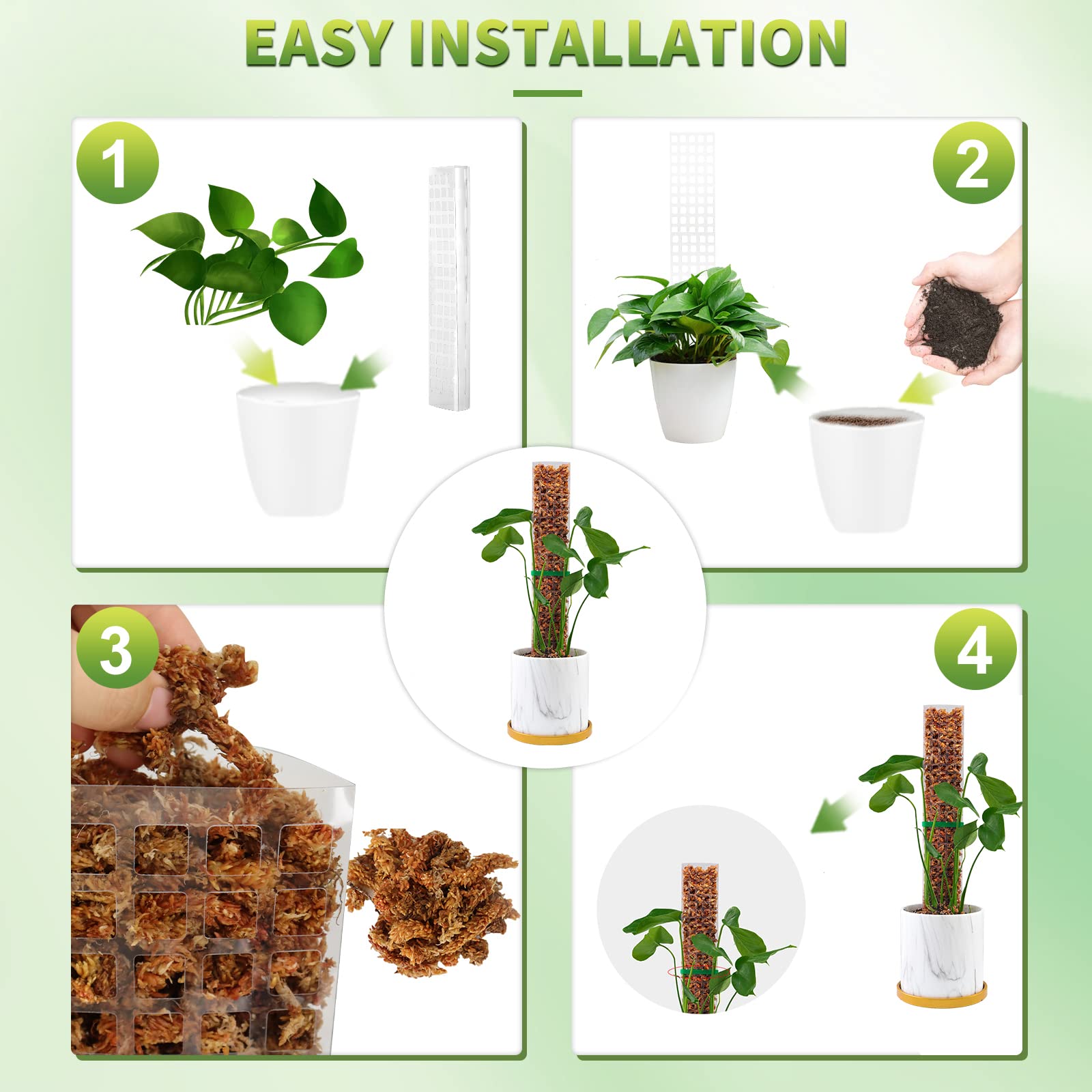 Moss Poles Plants Plant Suppor - Echeveria Succulent recension och pris