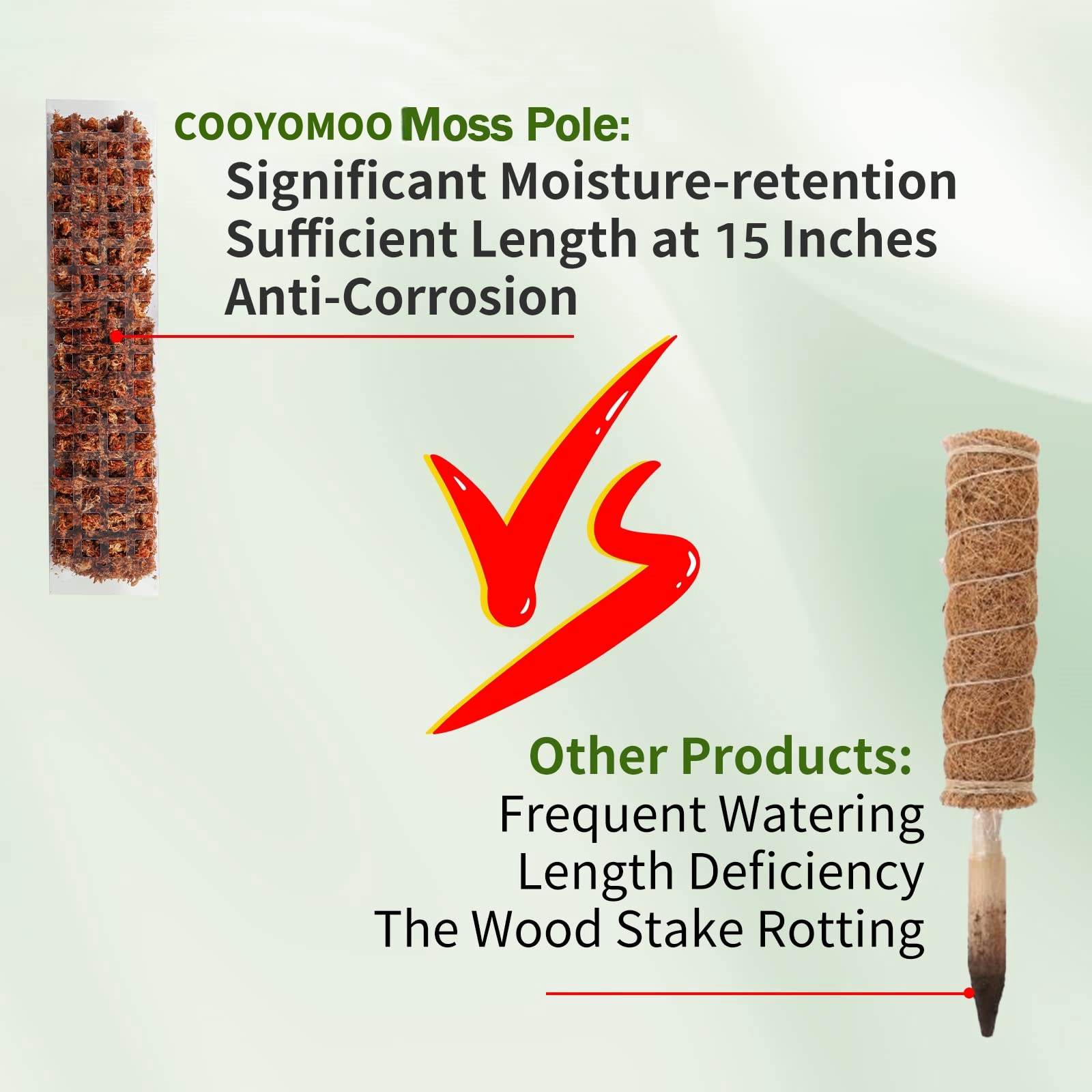 Moss Poles Plants Plant Suppor - Echeveria Succulent recension och pris