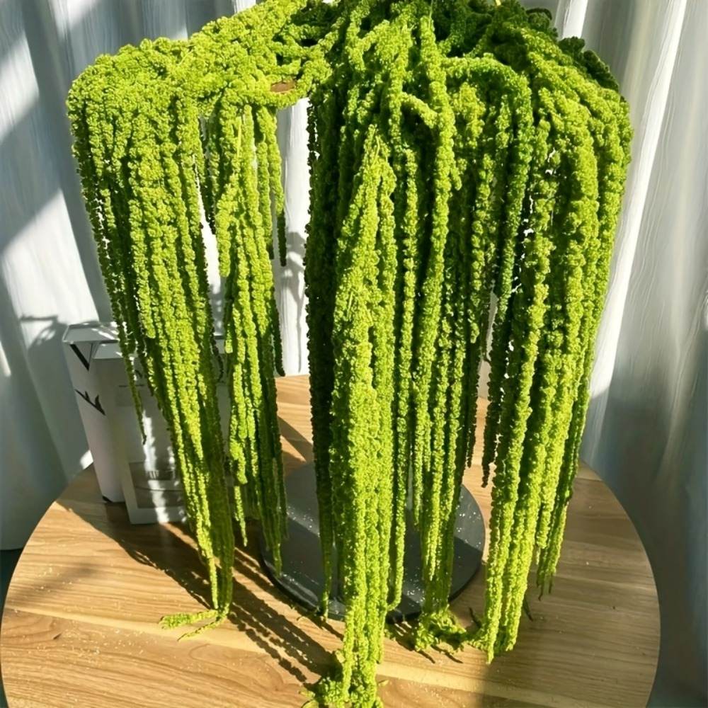 4 Piece Set Artificial Amarant - Monstera Adansonii recension och pris