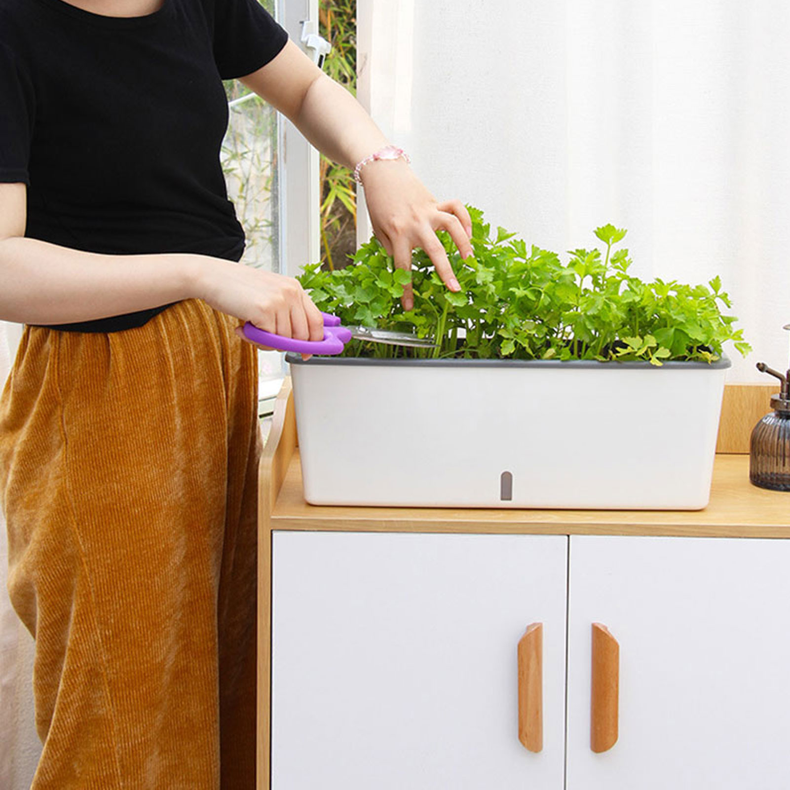 Self-Watering Planter Pots wit - Aloe Vera Pot recension och pris