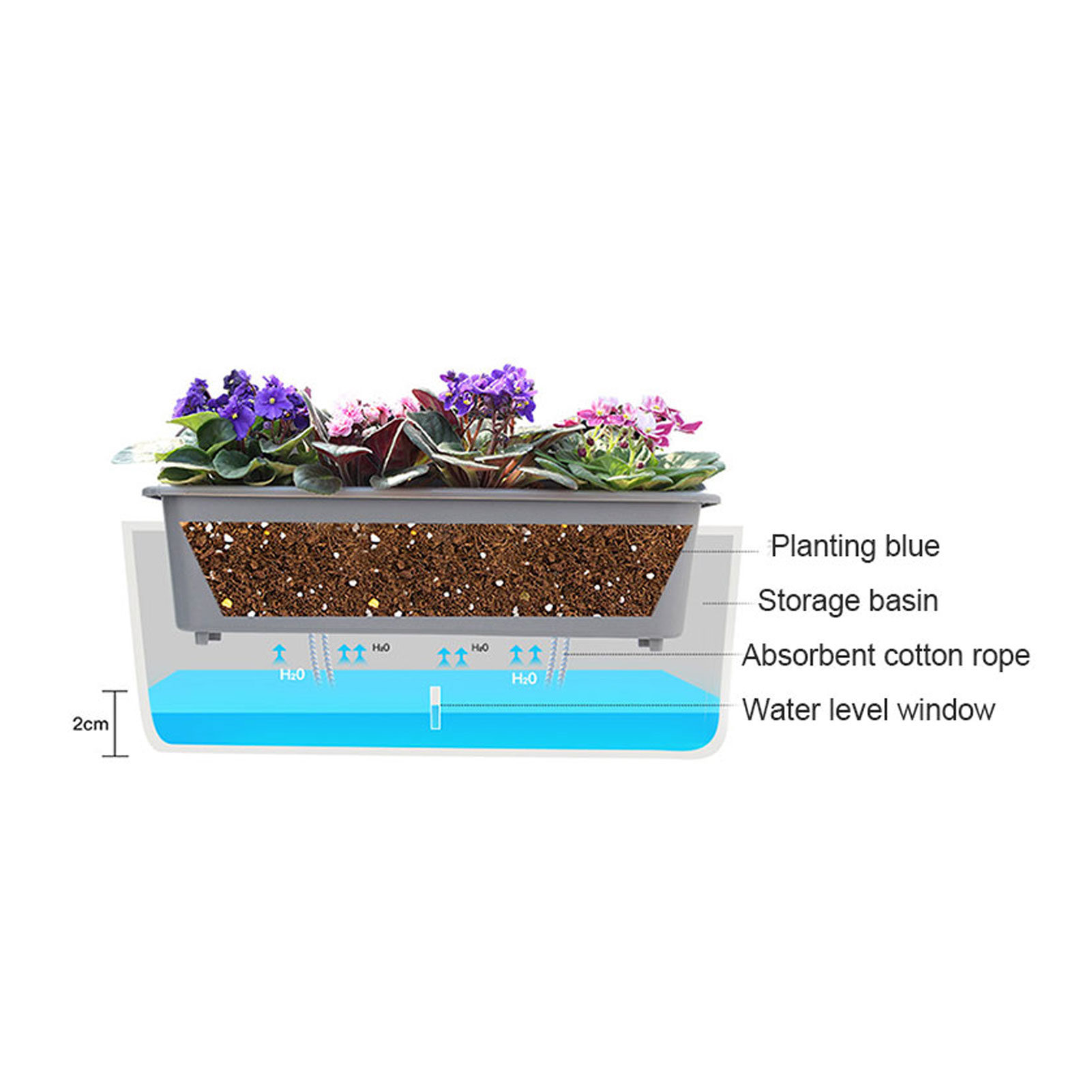 Self-Watering Planter Pots wit - Aloe Vera Pot recension och pris