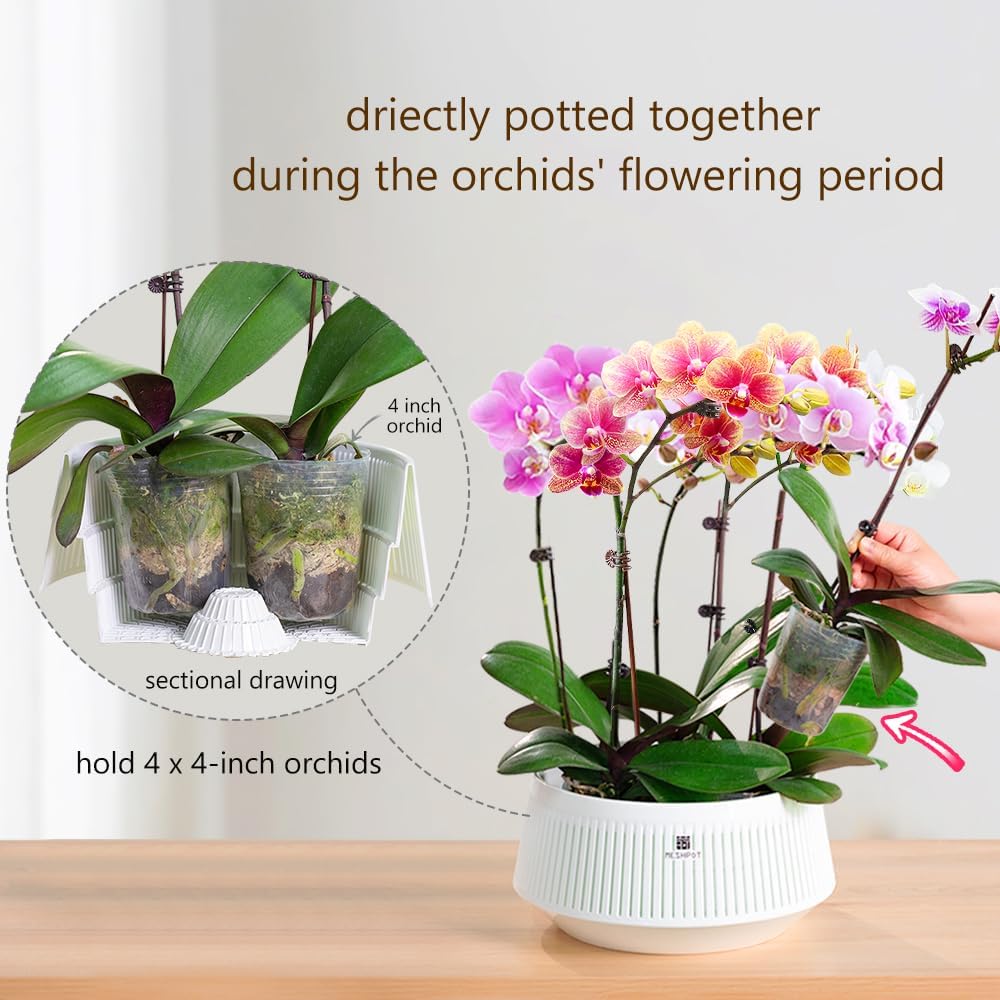 Meshpot Orchid Pot with Holes  - Aloe Vera Pot recension och pris