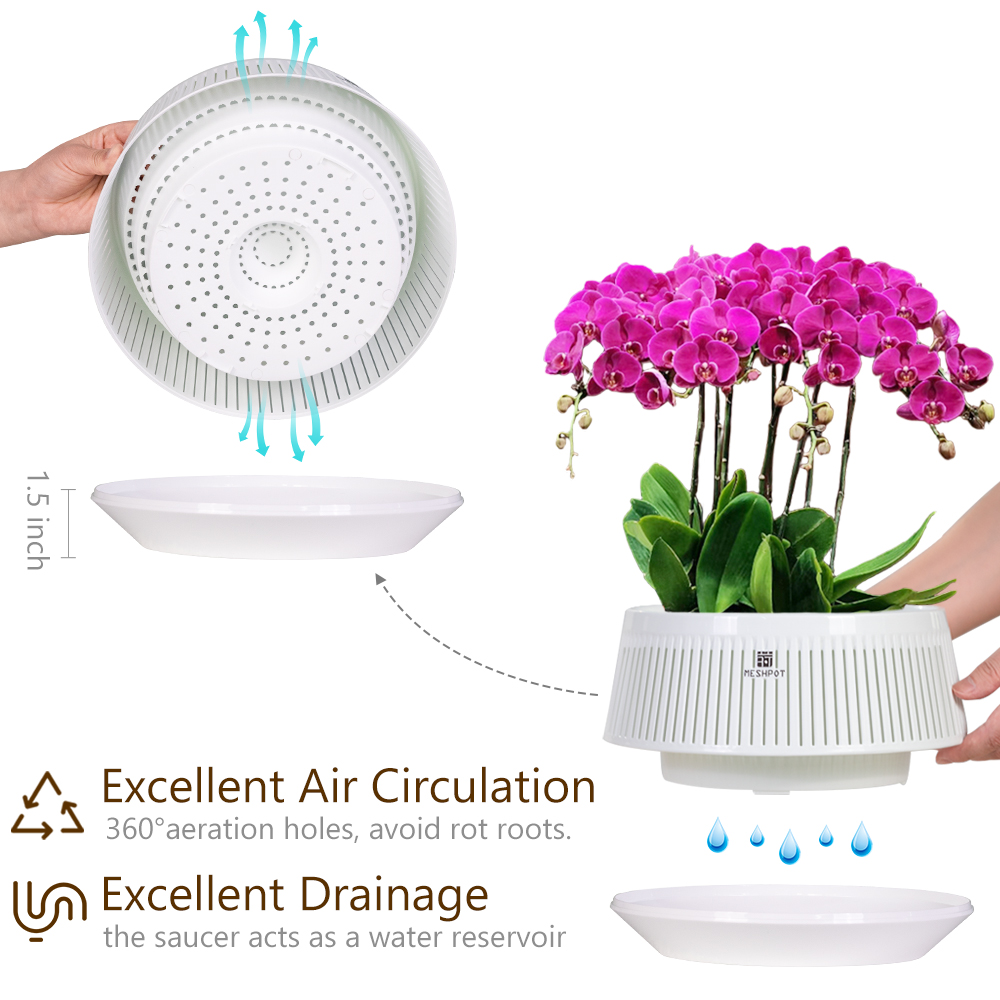 Meshpot Orchid Pot with Holes  - Aloe Vera Pot recension och pris