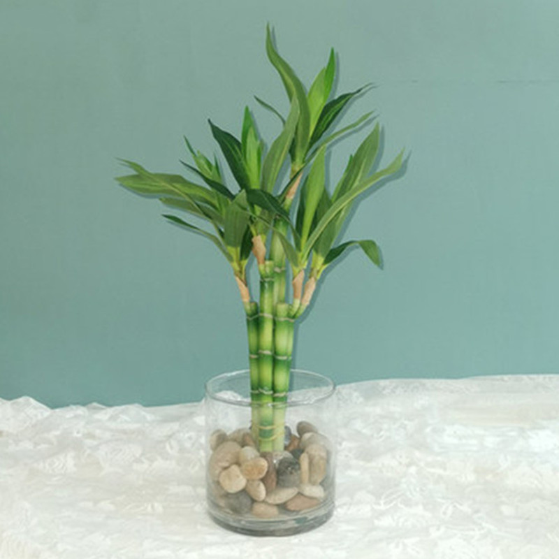 New 40cm Artificial Lucky Bamb - Echeveria Succulent recension och pris
