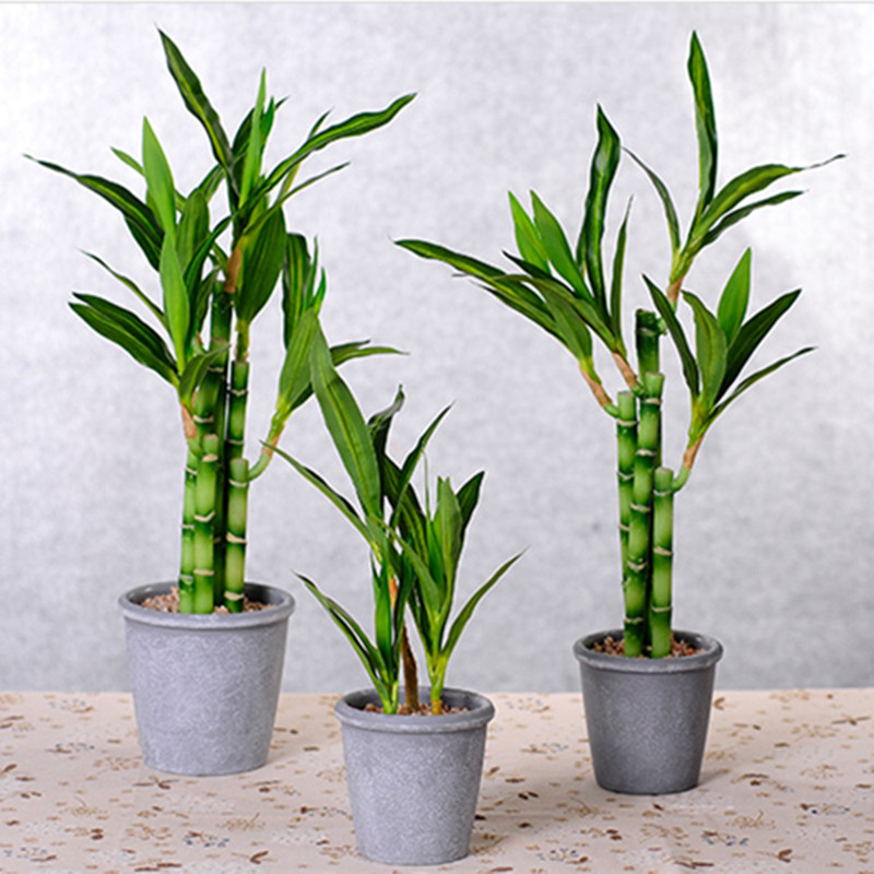 New 40cm Artificial Lucky Bamb - Echeveria Succulent recension och pris