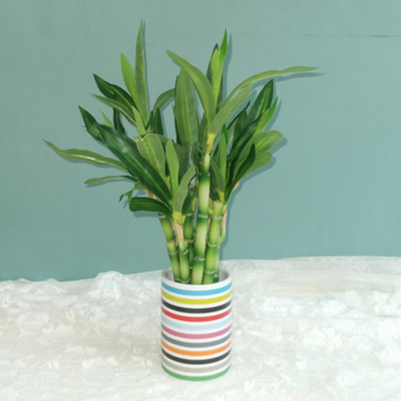 New 40cm Artificial Lucky Bamb - Echeveria Succulent recension och pris