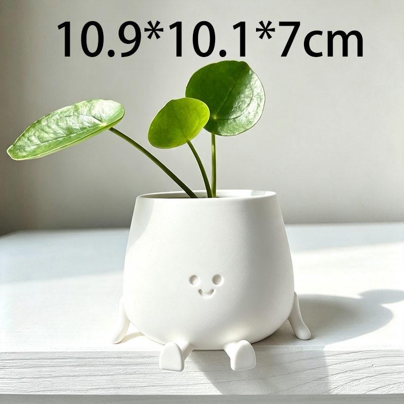 3D Printed Cute Smiley Face Pl - Echeveria Succulent recension och pris