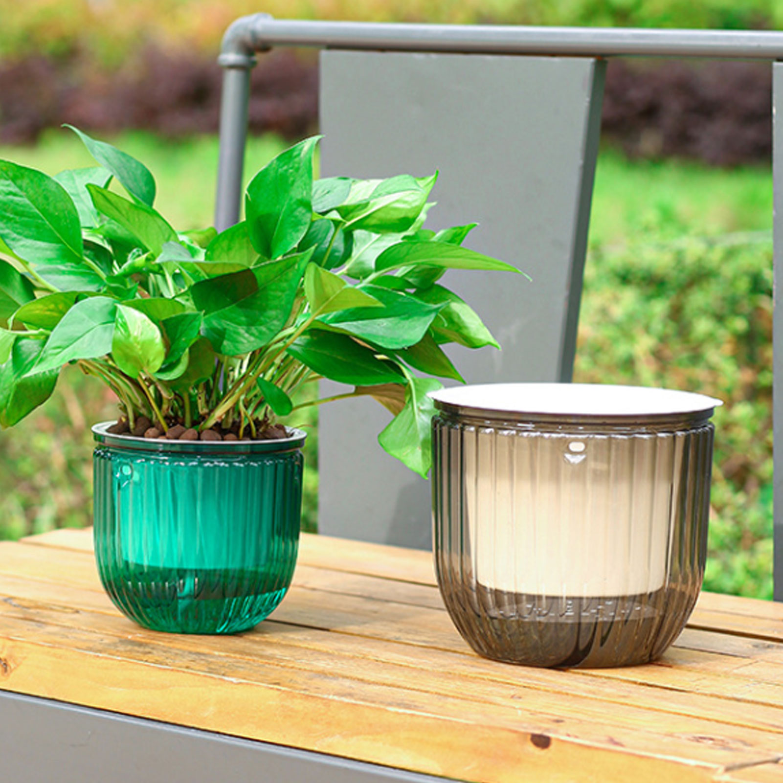Automatic Self Watering Plant  - Spider Plant Hanging recension och pris