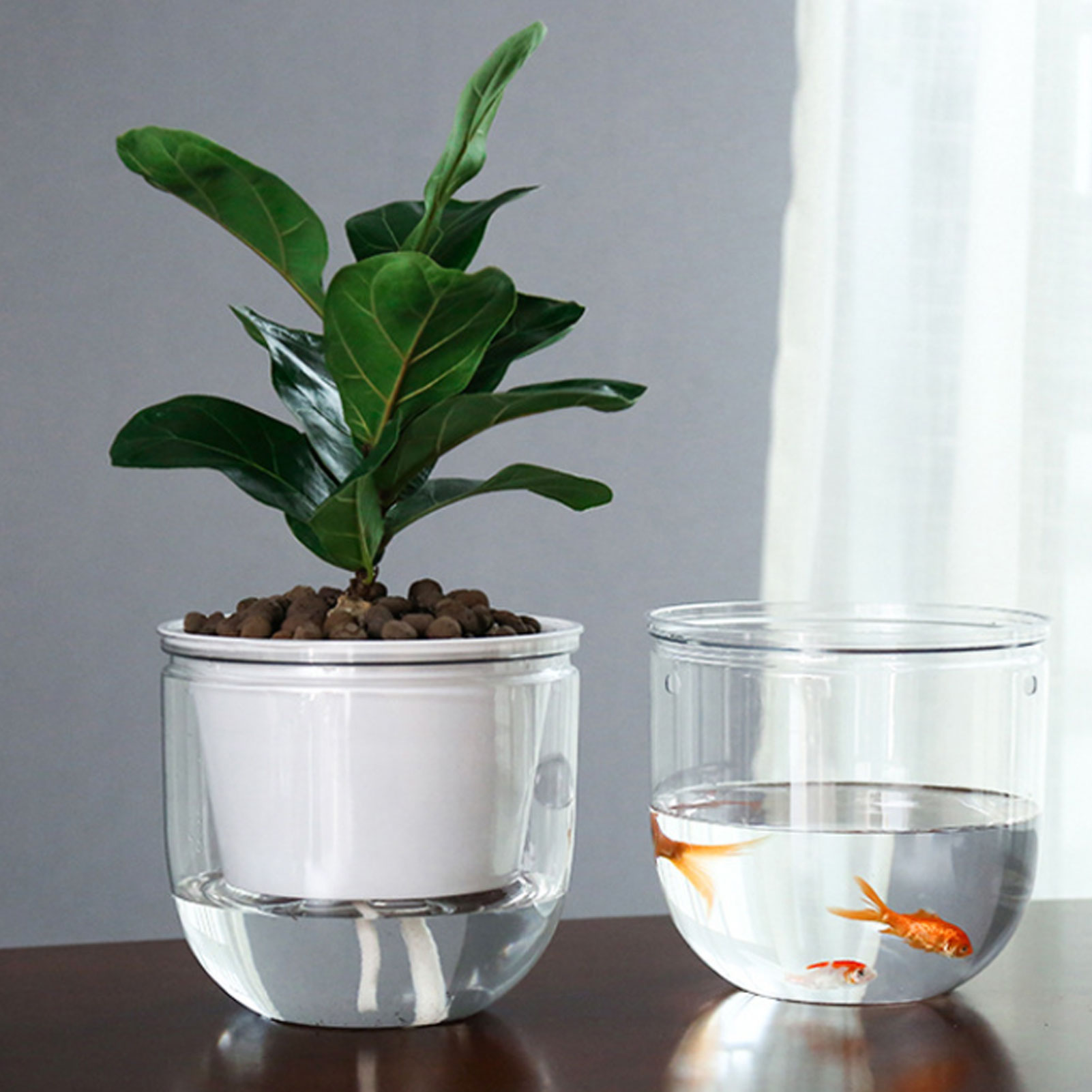 Automatic Self Watering Plant  - Spider Plant Hanging recension och pris