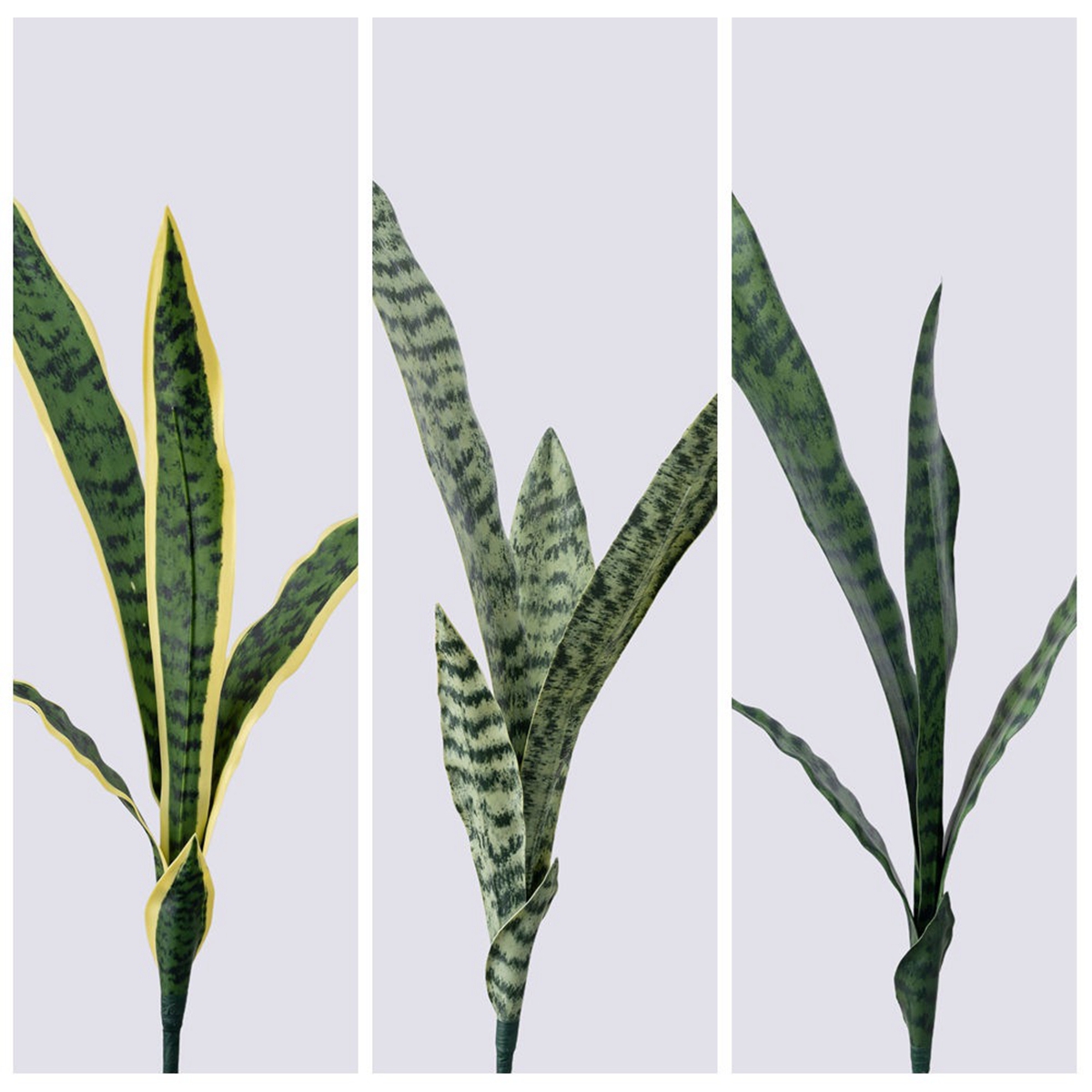 Aritificial Snake Plant Home D - Monstera Adansonii recension och pris