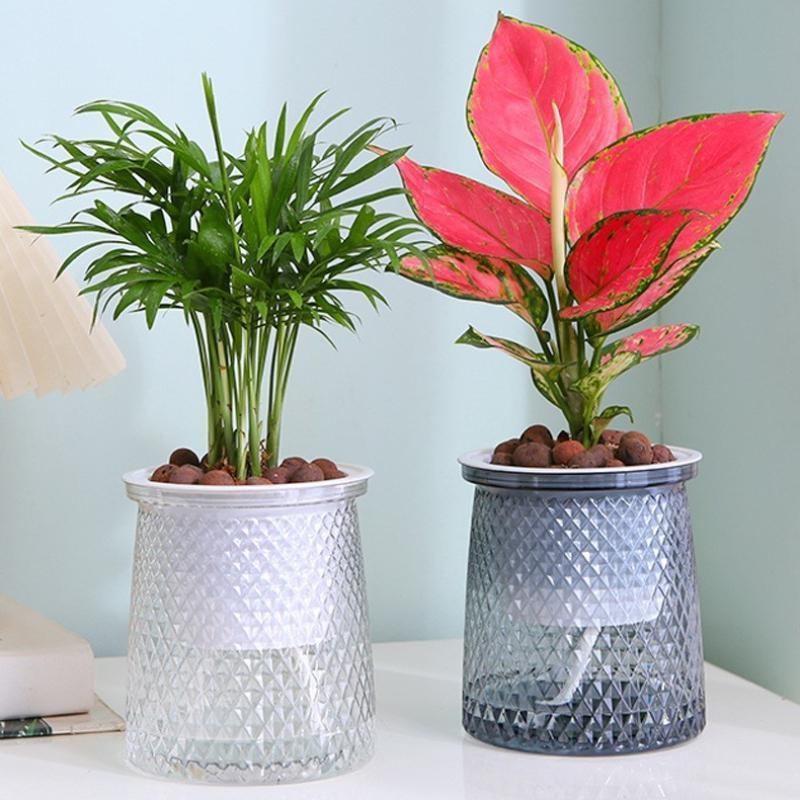 2024 Transparent Self Watering - Aloe Vera Pot recension och pris