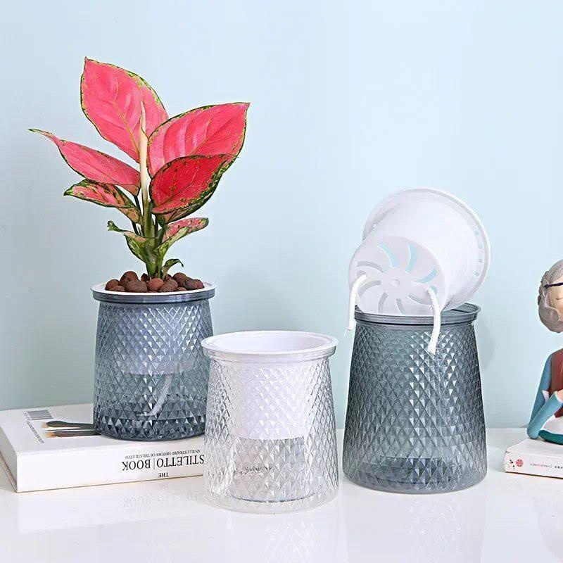 2024 Transparent Self Watering - Aloe Vera Pot recension och pris