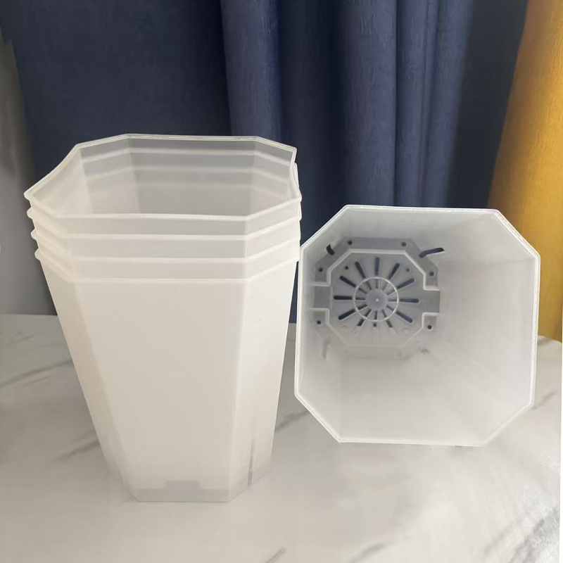 5PCS Transparent Flowerpot 15c - Echeveria Succulent recension och pris