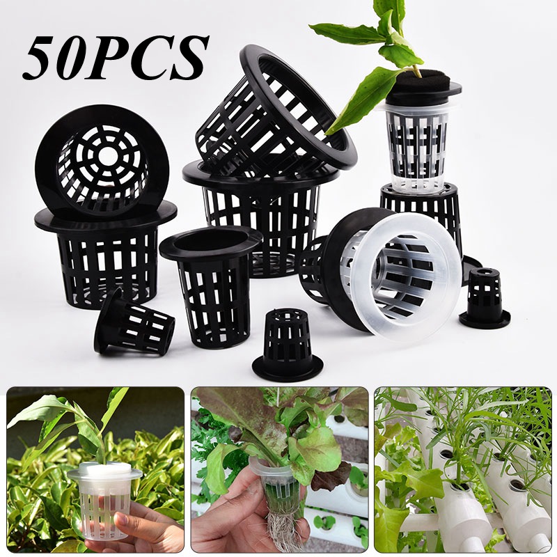 50Pcs Black White Soilless Mes - Aloe Vera Pot recension och pris