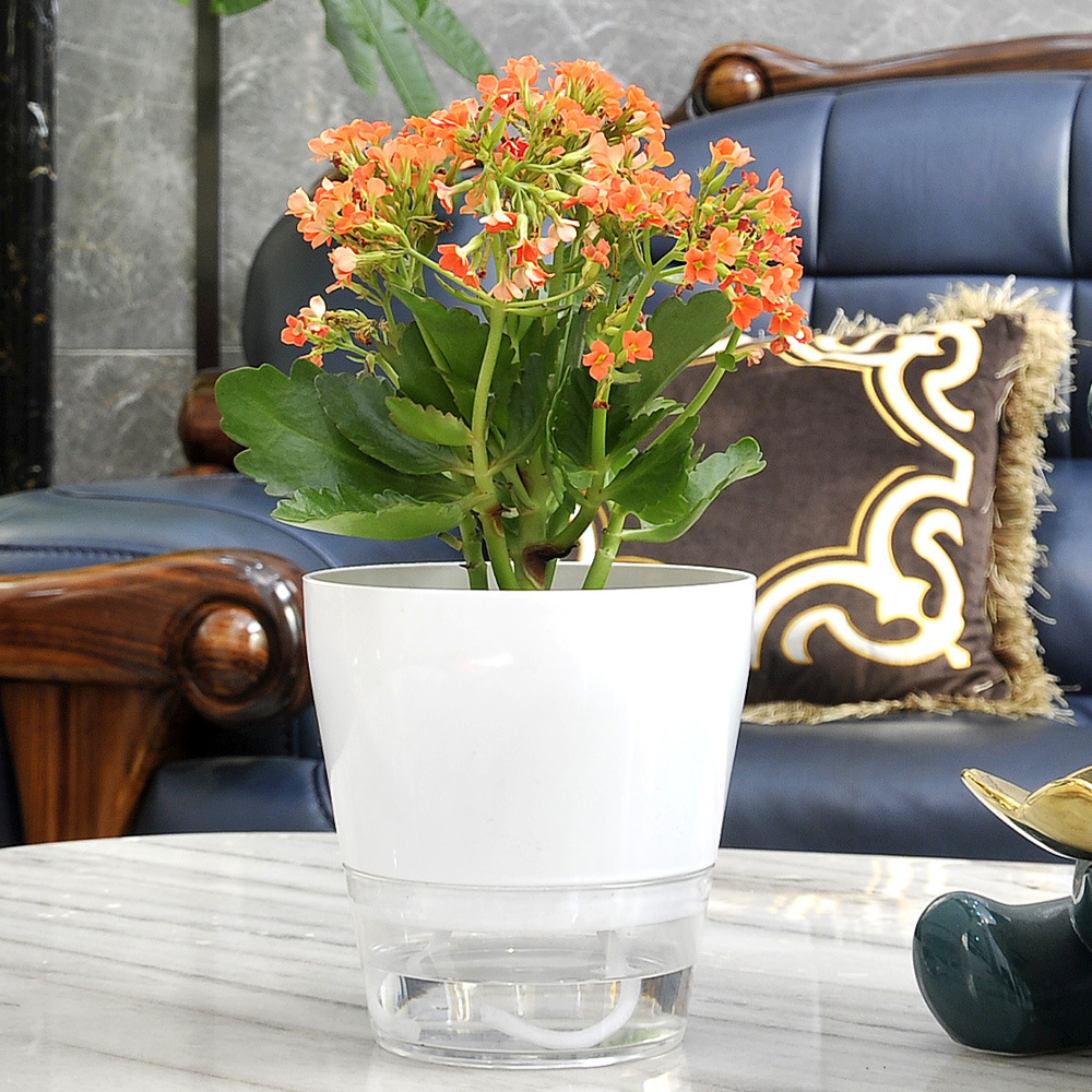 Lazy Flower with Drainage Hole - Aloe Vera Pot recension och pris