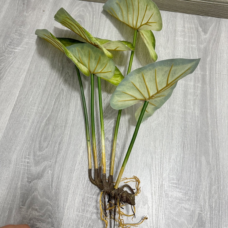 Lifelike Large Lotus Leaves wi - Dracaena Marginata recension och pris
