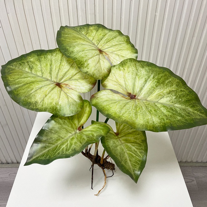 Lifelike Large Lotus Leaves wi - Dracaena Marginata recension och pris