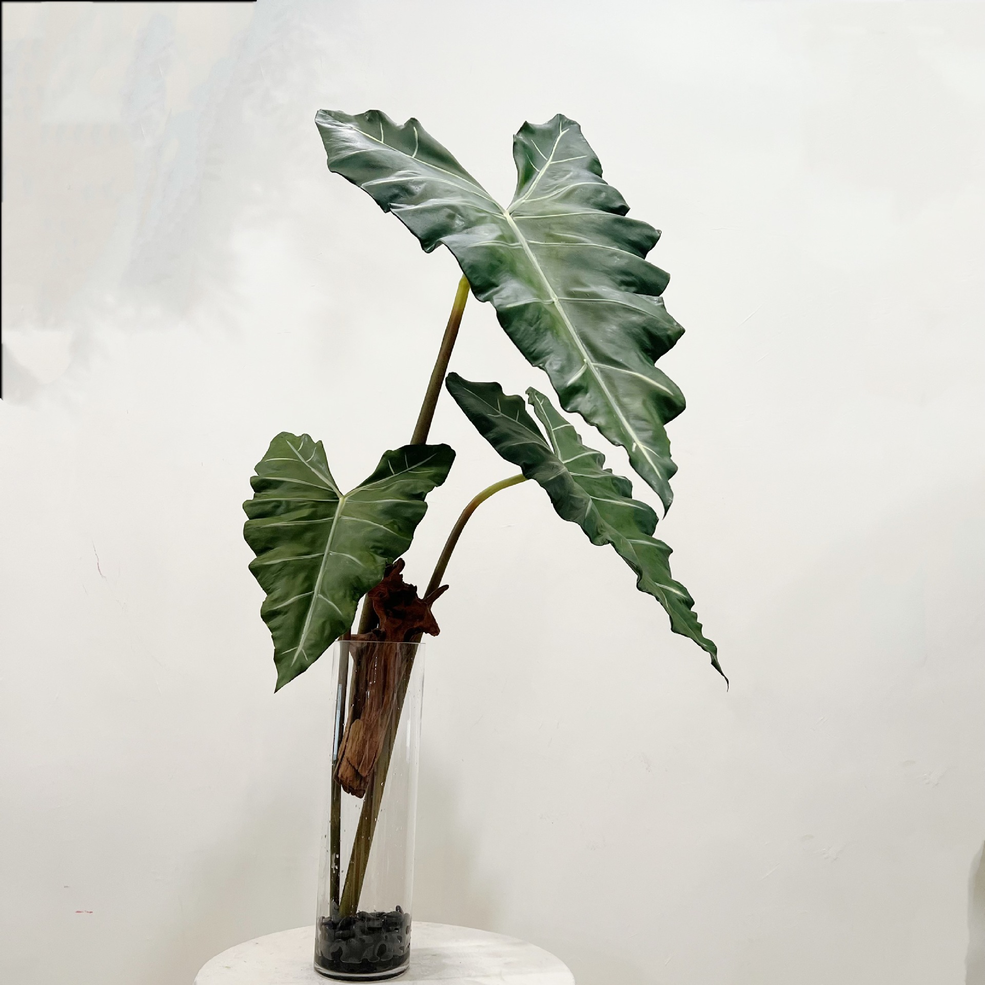 Simulated Long PU Hand-feel Gr - Monstera Adansonii recension och pris