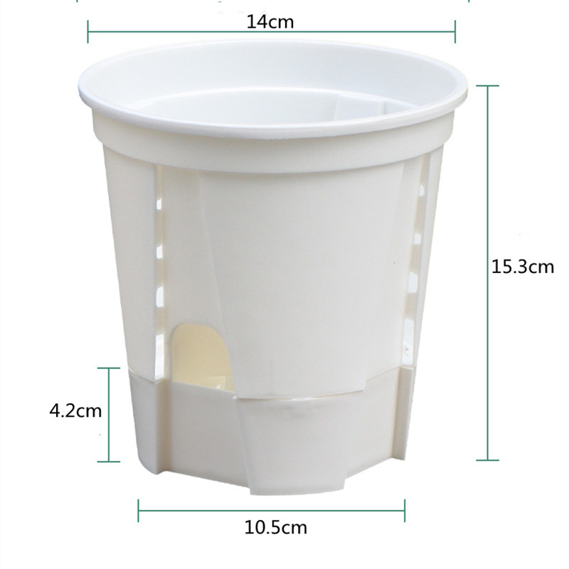 5pcs Transparent Orchid Pot wi - Aloe Vera Pot recension och pris